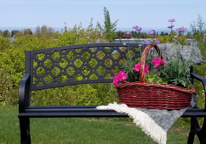 Basket of beautiful flowers on a comfy bench in the summer